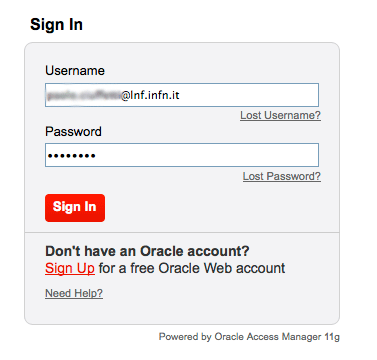 strutture:lnf:da:dafne:sistema_di_controllo:sviluppatori:oracle-1b-signin.gif